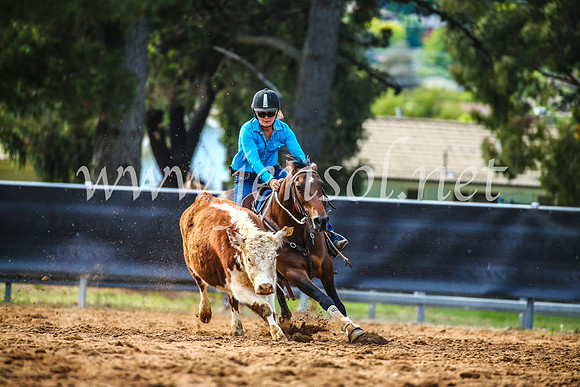 OrangeCampdraft2017_4017
