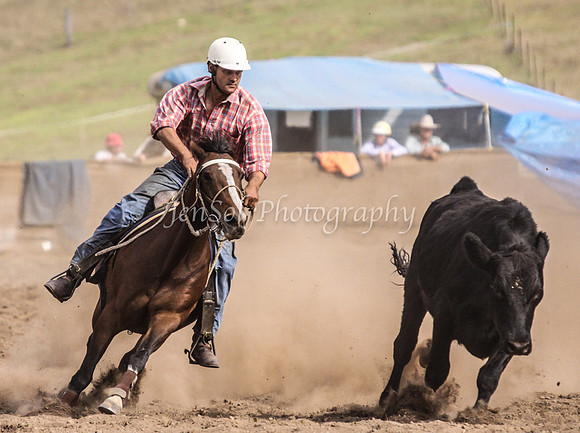 IMG_0716CabSat