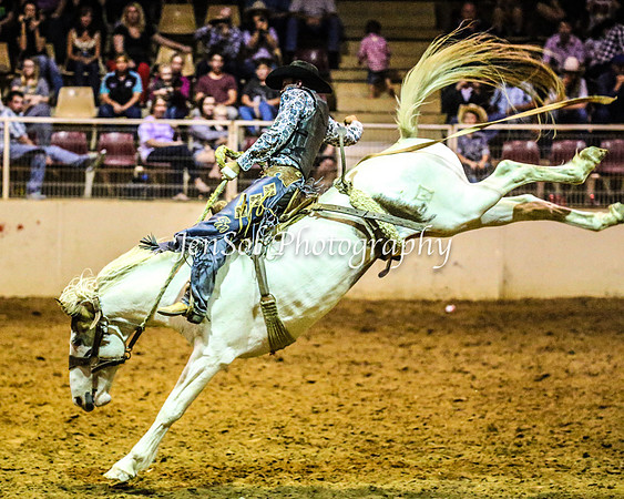 RealDealRodeoFeb2014_1730