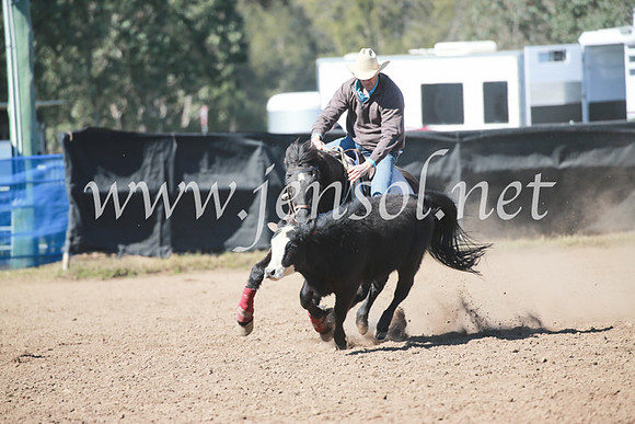CCCampdraft2016_5719