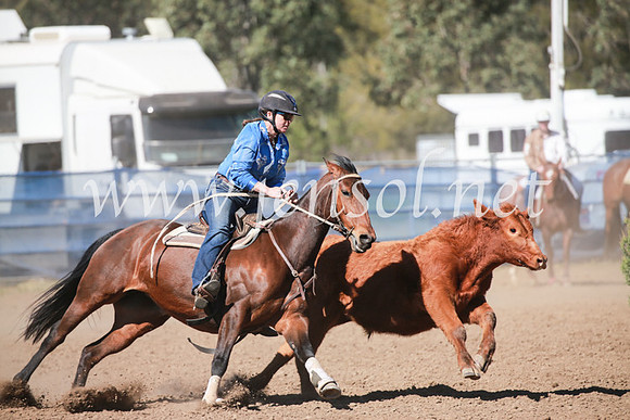 CCCampdraft2016_6140