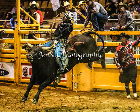 RealDealRodeoFeb2014_1601