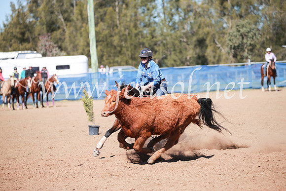 CCCampdraft2016_6084