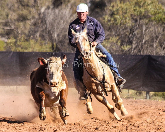 Wwyalong0867