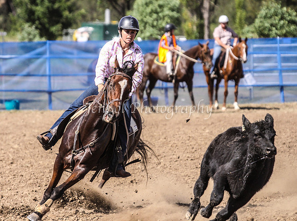 IMG_0262CCCSat
