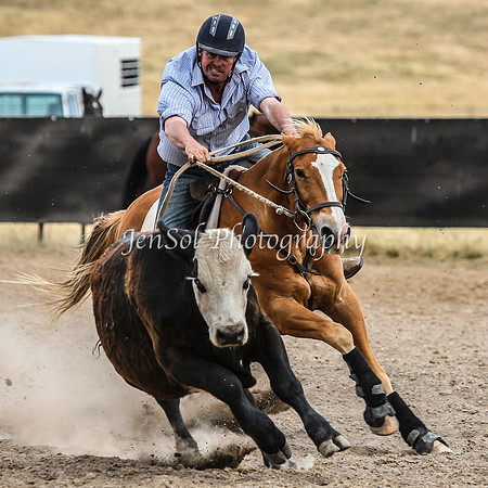 AdaminabyCampdraftSun2015_3458