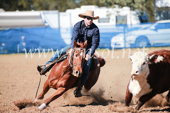 CCCampdraft2016_5426