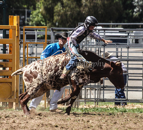 Queanbeyan1_0235
