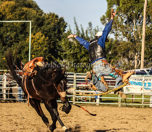 Tumut2_0557