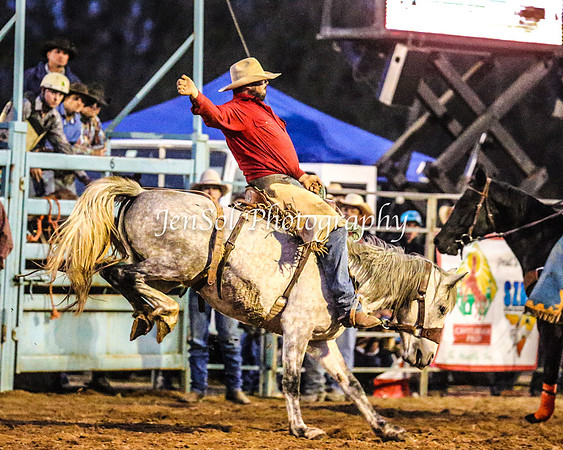 TumutRodeo2014_4414