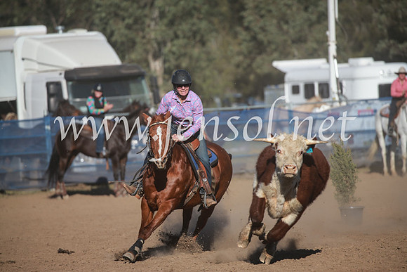 CCCampdraft2016_6473
