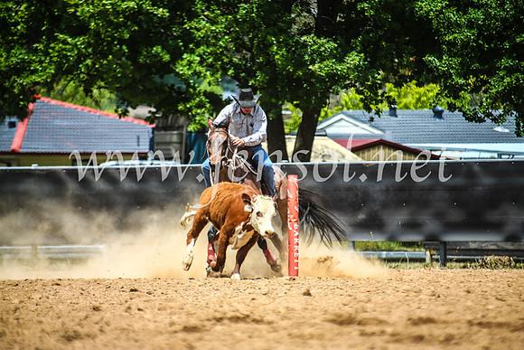 OrangeCampdraft2017_5254