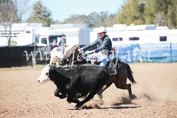 CCCampdraft2016_5606