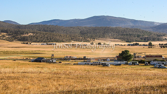 AdaminabyCampdraft2015_0001