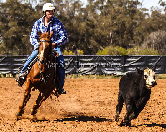 Wwyalong0309
