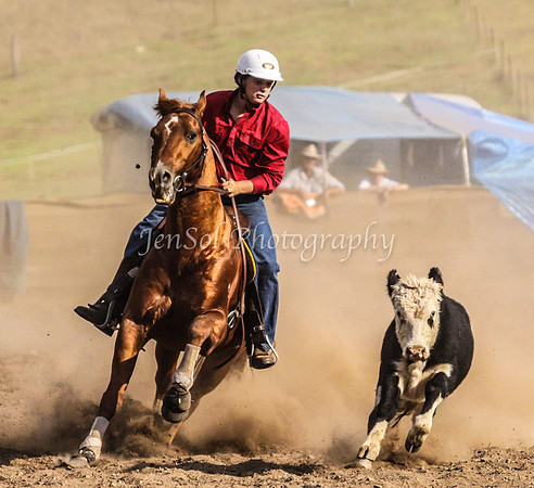 IMG_0839CabSat