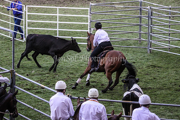EquitanaSat_1091
