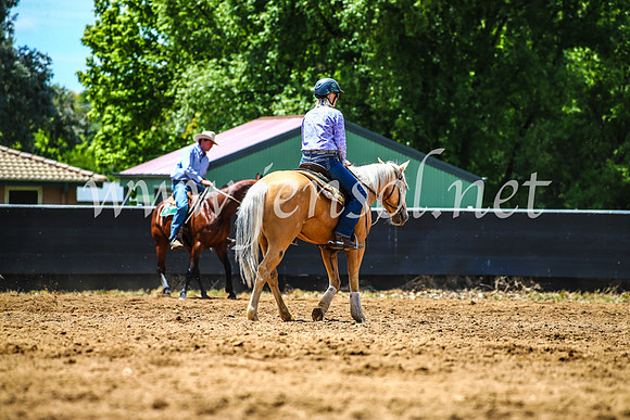 OrangeCampdraft2017_4889
