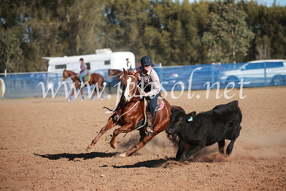 CCCampdraft2016_6482