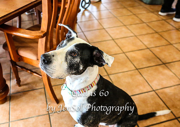 Gail_is_60_0327