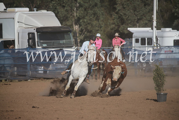 CCCampdraft2016_6521