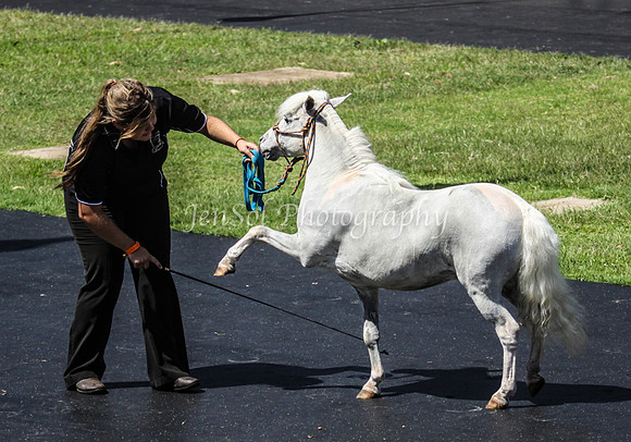 EquitanaSat_0223