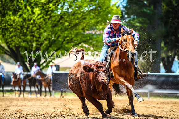 OrangeCampdraft2017_4796