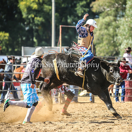 TumutRodeo2014_1355
