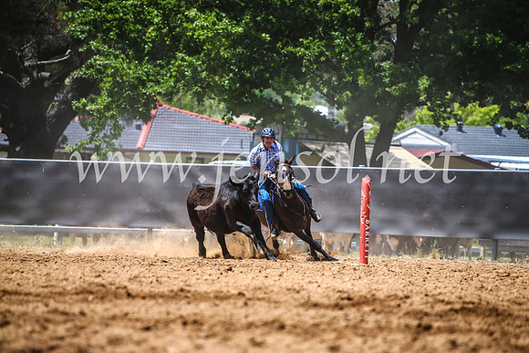 OrangeCampdraft2017_4921