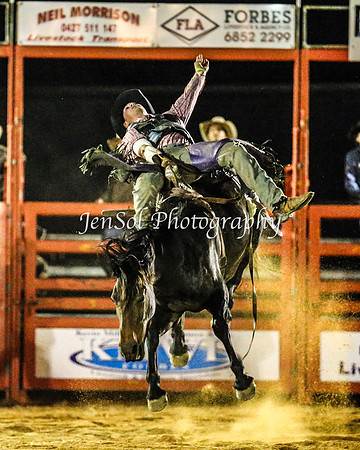 ForbesRodeo2014_3453