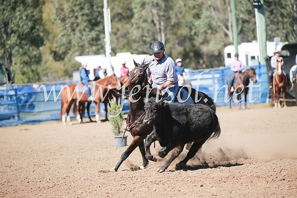 CCCampdraft2016_5988