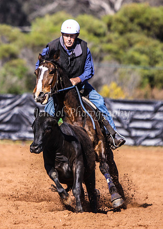 Wwyalong0133