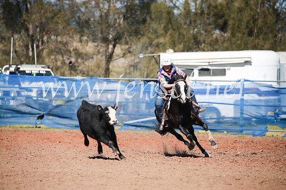 CCCampdraft2016_5414