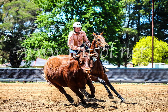 OrangeCampdraft2017_4590