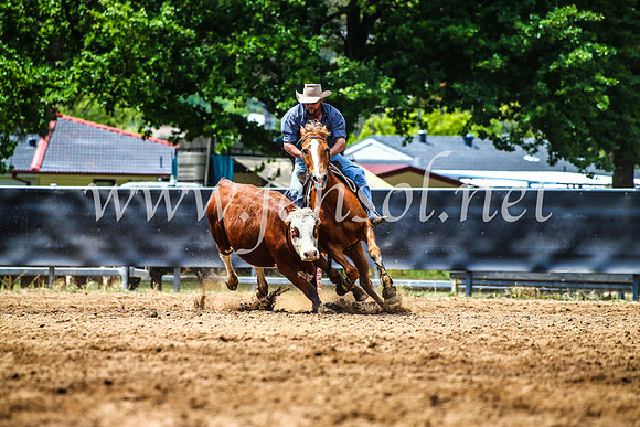 OrangeCampdraft2017_4731
