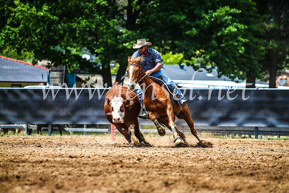 OrangeCampdraft2017_4750
