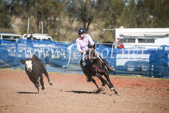 CCCampdraft2016_5771