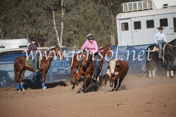 CCCampdraft2016_6601
