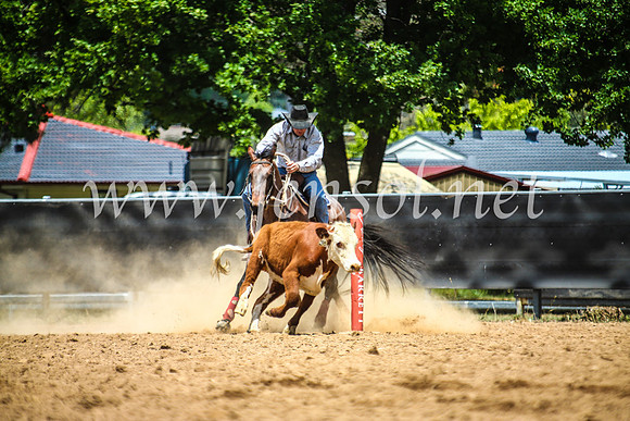 OrangeCampdraft2017_5265