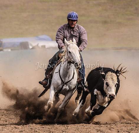 IMG_0707CabSat