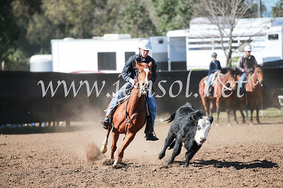 CCCampdraft2016_5309