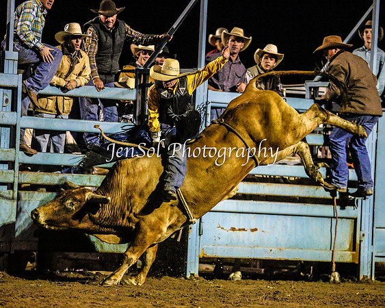 TumutRodeo2014_5891