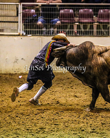 RealDealRodeoFeb2014_2208