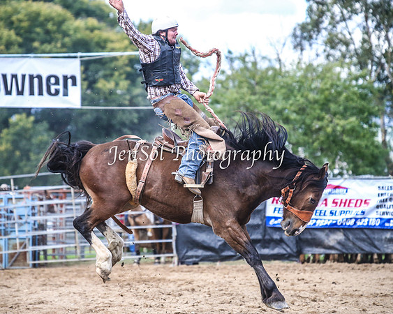 TumutRodeo2014_2183