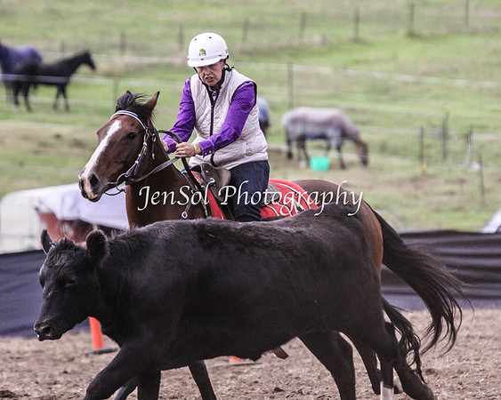 CabSun_0028