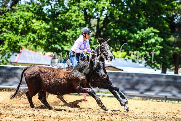 OrangeCampdraft2017_4946