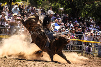 Taralga1_0557