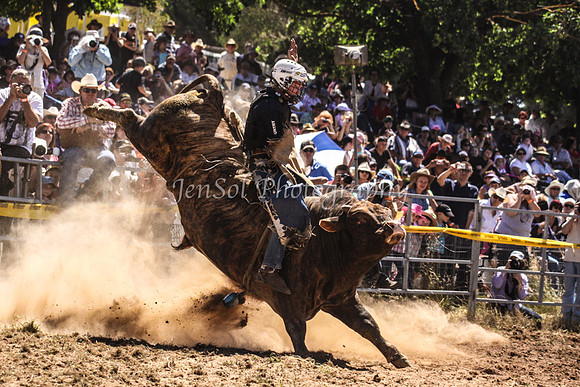Taralga1_0557