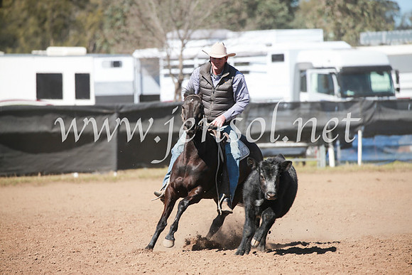 CCCampdraft2016_5930