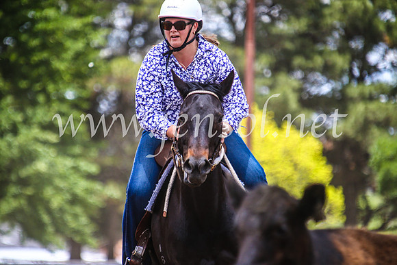 OrangeCampdraft2017_5235